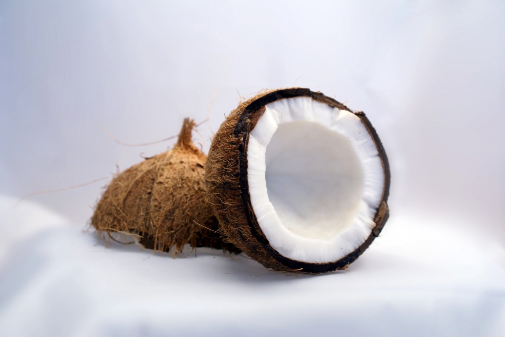 coconut_coconuts_2exotic